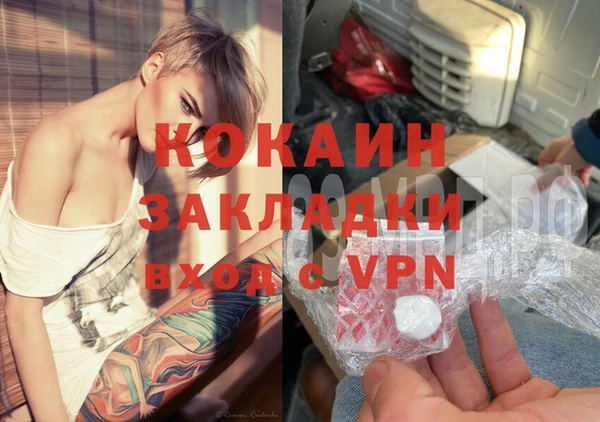 кокс Алексин
